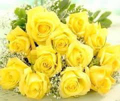 yellowroses